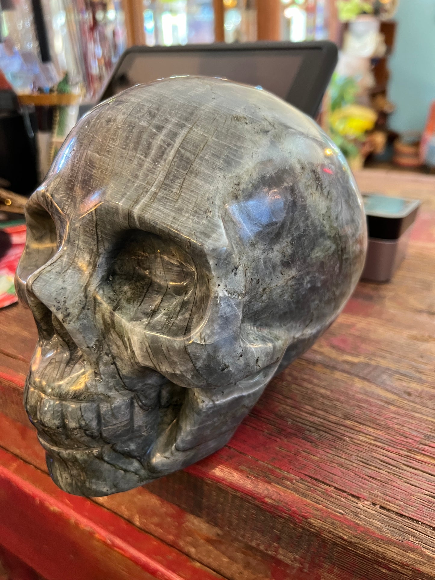 Laboradite Skull - Luna