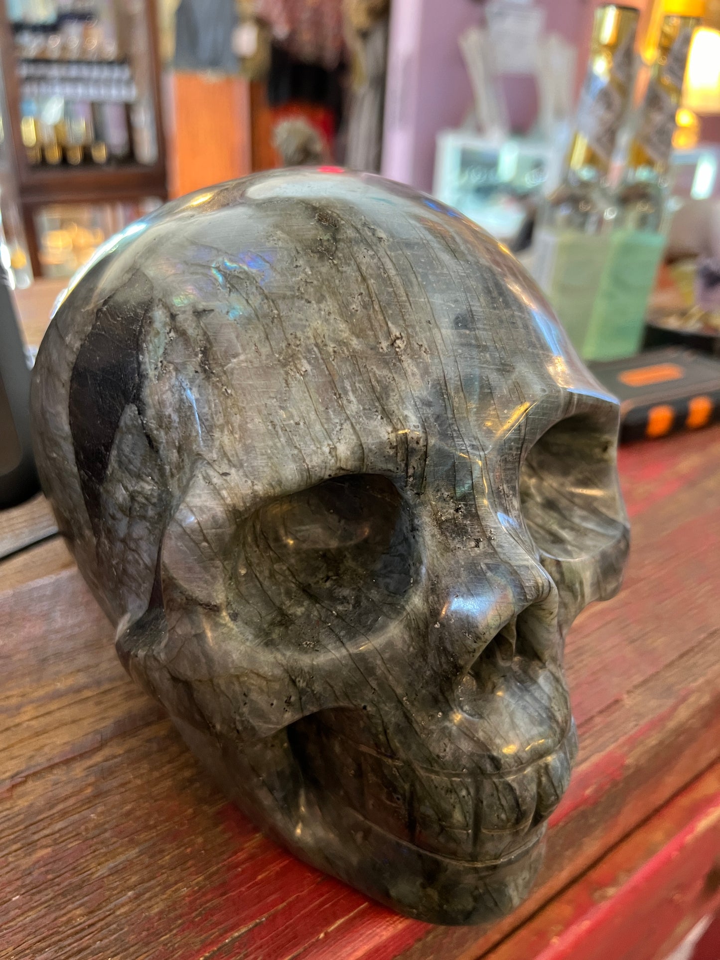 Laboradite Skull - Luna