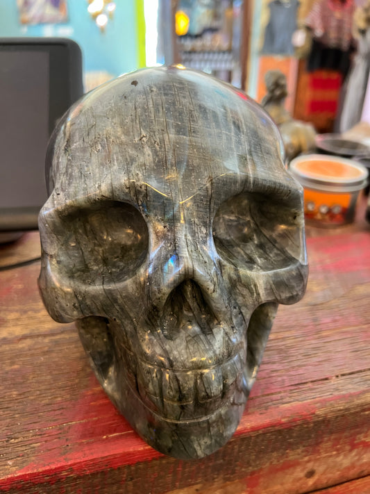 Laboradite Skull - Luna